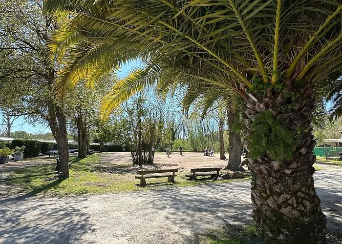 营地 Mobilhome Ile D'oleron - 6 Places - 5 Etoiles 奥雷龙圣乔治